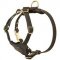 Spruce Leather Riesenschnauzer Harness With Small Chest Plate