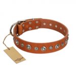 "Gorgeous Roundie" FDT Artisan Tan Leather Riesenschnauzer Collar with Chrome-plated Circles
