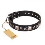 "Space Walk" FDT Artisan Black Leather Riesenschnauzer Collar with Adornments