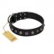 "Black Knight" Handmade FDT Artisan Black Leather Riesenschnauzer Collar with Silver-Like Studs