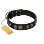 "Tricky Ricky" FDT Artisan Black Leather Riesenschnauzer Collar Adorned with Silver-Like Conchos