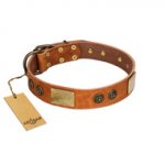 "Bronze Century" FDT Artisan Tan Leather Riesenschnauzer Collar with Plates and Brooches with Cool Ornament