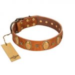 "Glossy Autumn" Designer Handmade FDT Artisan Tan Leather Riesenschnauzer Collar with Ovals and Studs