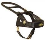 Guide and Assistance Leather Riesenschnauzer Harness