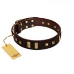 "Choco Delight" FDT Artisan Brown Leather Riesenschnauzer Collar with Old Bronze-like Plates and Studs