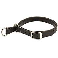 Riesenschnauzer Leather Choke Collar