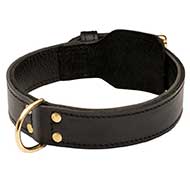 Training 2 Ply Leather Riesenschnauzer Collar