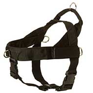 Riesenschnauzer Harness Nylon with Patches
