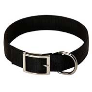 2 Ply Nylon Riesenschnauzer Collar