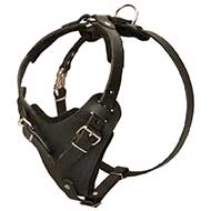 Protection Leather Riesenschnauzer Harness for Attack / Agitation Dog Training