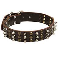 Riesenschnauzer Spikes and Studs Rows Leather Dog Collar