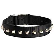 Exclusive Nylon Riesenschnauzer Collar with Awesome Nickel Cones
