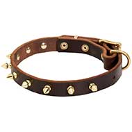 Walking Designer Leather Riesenschnauzer Collar with Brass Spikes