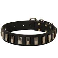 Riesenschnauzer Leather Collar with Shiny Plates