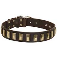 Leather Riesenschnauzer Collar with Awesome Brass Plates