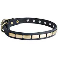 Riesenschnauzer Leather Collar Brass Plates 25 mm