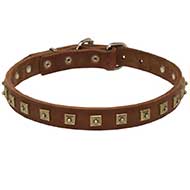 Handcrafted 1 Row Square Studded Leather Riesenschnauzer Collar