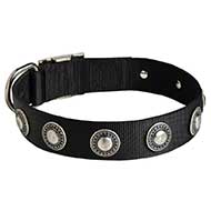 Riesenschnauzer Nylon Dog Collar with Circles Decoration