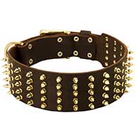 Wide Spiked Leather Riesenschnauzer Collar