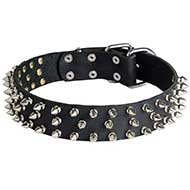 Leather Riesenschnauzer Collar with 3 Rows of Nickel Spikes