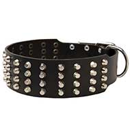 Extra Wide 4 Rows Studded Leather Riesenschnauzer Collar