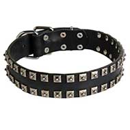 New Leather Riesenschnauzer Collar - Fashion Exclusive Design - "Caterpillar"