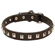 Riesenschnauzer Leather Collar Caterpillar Design