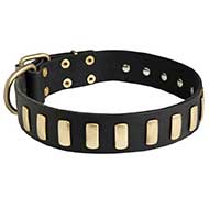 Fancy Leather Riesenschnauzer Collar with Brass Plates