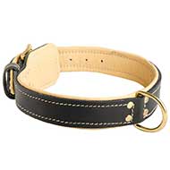 Padded Leather Riesenschnauzer Collar