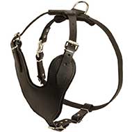 Adjustable Leather Riesenschnauzer Harness for Attack / Agitation Training