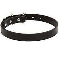 Riesenschnauzer Leather Dog Collar 1 inch Wide