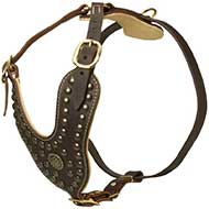 Royal Design Leather Riesenschnauzer Harness with Brass Studs