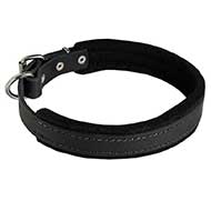 Padded Leather Riesenschnauzer Collar 25 mm for Dog Training