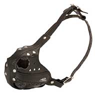 Leather Riesenschnauzer Muzzle for Agitation Training and Military Service