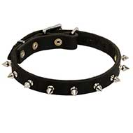 Riesenschnauzer Leather Collar Spiked 3/4 Inch