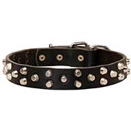 Fancy Design Leather Riesenschnauzer Collar with Nickel Pyramids