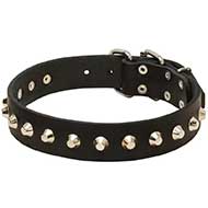 Gorgeous Wide Leather Riesenschnauzer Collar - Fashion Exclusive Design
