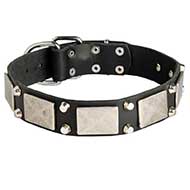 Leather Riesenschnauzer Collar Decorated with Nickel Cones and Plates