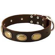 Designer Leather Riesenschnauzer Collar with Oval Plates