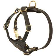 Spruce Leather Riesenschnauzer Harness With Small Chest Plate