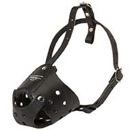 Everyday Leather Riesenschnauzer Muzzle for Training