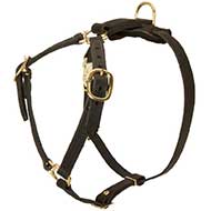 Y-Shaped Leather Riesenschnauzer Harness for Tracking and Training