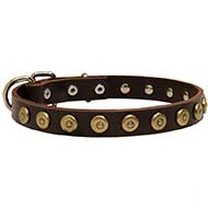 Leather Riesenschnauzer Collar with Brass Dotted Circles for Fashion Walking