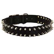 Riesenschnauzer Nylon Collar Spiked