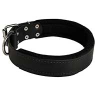 Riesenschnauzer Durable Padded Leather Collar 40 mm