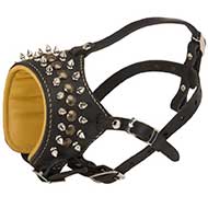 Royal Spiked and Studded Leather Riesenschnauzer Muzzle