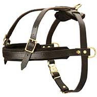Leather Riesenschnauzer Harness for Tracking and Pulling