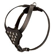 Designer Leather Riesenschnauzer Harness with Adjustable Straps for Puppy Walking and Training