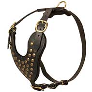 Adjustable Studded Leather Riesenschnauzer Harness for Fashion Walking