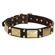 Leather Riesenschnauzer Collar with Studs and Plates